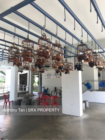 Blk 172 Woodlands Street 13 (Woodlands), HDB 4 Rooms #375996601